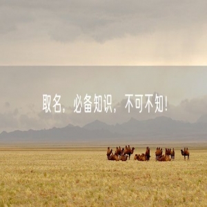 取名，必备知识，不可不知！