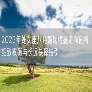 2025年处女座八月婚姻情感走向剖析 细致权衡与长远抉择指引