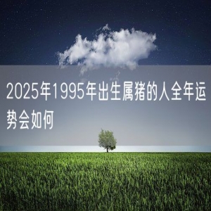 2025年1995年出生属猪的人全年运势会如何
