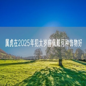 属虎在2025年犯太岁应佩戴何种饰物好
