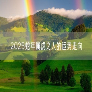 2025蛇年属虎之人的运势走向