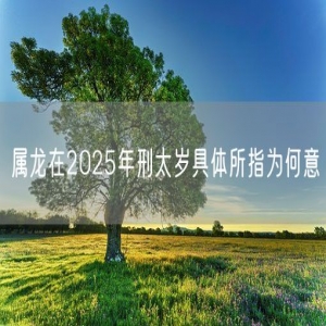 属龙在2025年刑太岁具体所指为何意