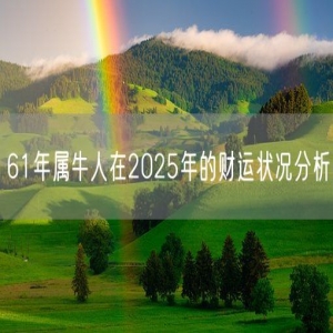 61年属牛人在2025年的财运状况分析