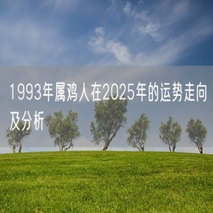 1993年属鸡人在2025年的运势走向及分析