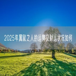 2025年属鼠之人的运势及财运状况如何
