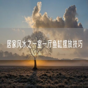 居家风水之一室一厅鱼缸摆放技巧