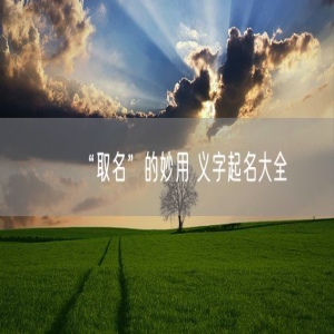 “取名”的妙用 义字起名大全