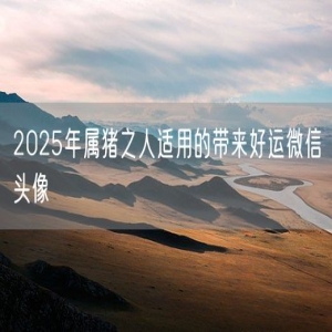 2025年属猪之人适用的带来好运微信头像
