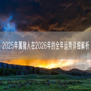 2025年属猪人在2026年的全年运势详细解析