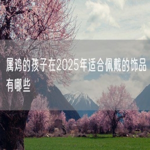 属鸡的孩子在2025年适合佩戴的饰品有哪些