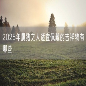 2025年属猪之人适宜佩戴的吉祥物有哪些