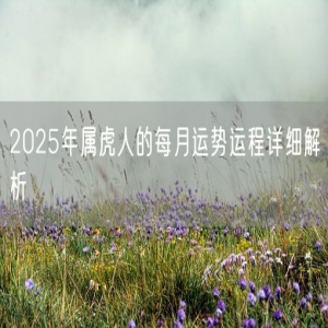 2025年属虎人的每月运势运程详细解析