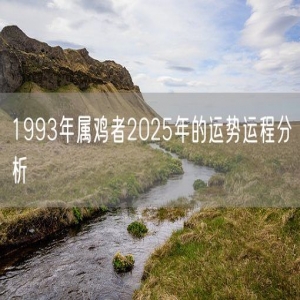 1993年属鸡者2025年的运势运程分析