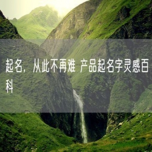 起名，从此不再难 产品起名字灵感百科