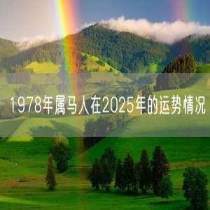 1978年属马人在2025年的运势情况