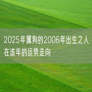 2025年属狗的2006年出生之人在该年的运势走向