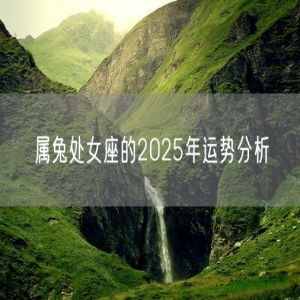 属兔处女座的2025年运势分析
