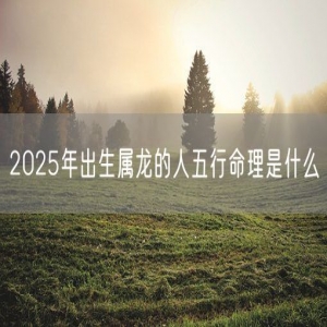 2025年出生属龙的人五行命理是什么