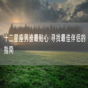 十二星座男谁最贴心 寻找最佳伴侣的指南