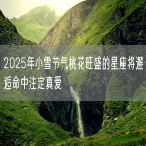 2025年小雪节气桃花旺盛的星座将邂逅命中注定真爱