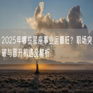 2025年哪些星座事业运最旺？职场突破与晋升机遇全解析