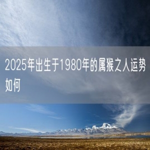 2025年出生于1980年的属猴之人运势如何