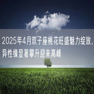 2025年4月双子座桃花旺盛魅力绽放，异性缘显著攀升迎来高峰