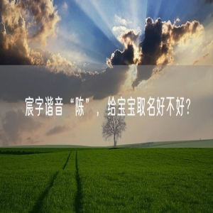 宸字谐音“陈”，给宝宝取名好不好？