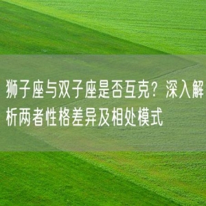 狮子座与双子座是否互克？深入解析两者性格差异及相处模式