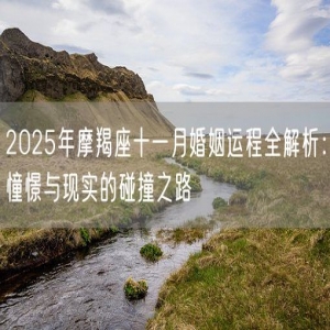 2025年摩羯座十一月婚姻运程全解析：憧憬与现实的碰撞之路