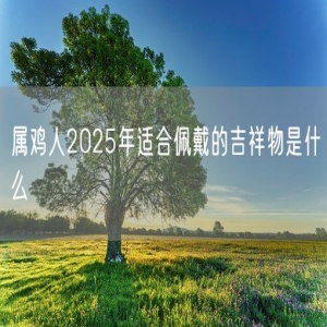 属鸡人2025年适合佩戴的吉祥物是什么