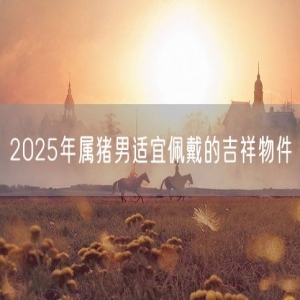 2025年属猪男适宜佩戴的吉祥物件
