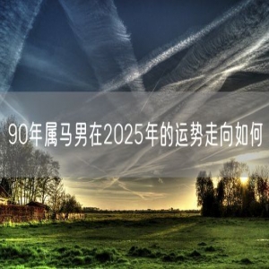 90年属马男在2025年的运势走向如何
