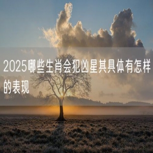 2025哪些生肖会犯凶星其具体有怎样的表现