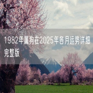 1982年属狗在2025年各月运势详细完整版
