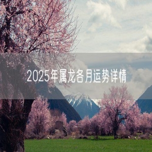 2025年属龙各月运势详情