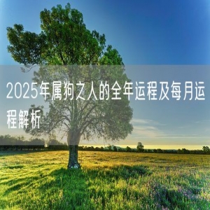 2025年属狗之人的全年运程及每月运程解析