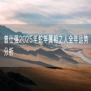 曾仕强2025年蛇年属相之人全年运势分析