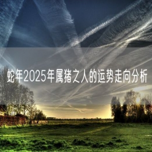 蛇年2025年属猪之人的运势走向分析