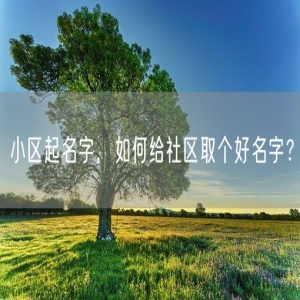 小区起名字，如何给社区取个好名字？