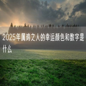 2025年属鸡之人的幸运颜色和数字是什么