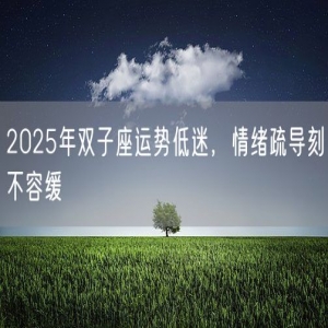 2025年双子座运势低迷，情绪疏导刻不容缓