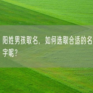 阳姓男孩取名，如何选取合适的名字呢？