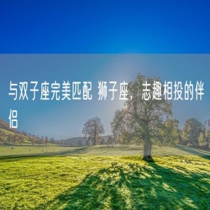 与双子座完美匹配 狮子座，志趣相投的伴侣