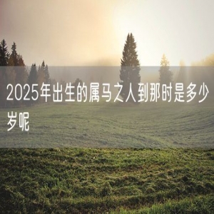 2025年出生的属马之人到那时是多少岁呢