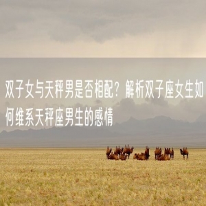 双子女与天秤男是否相配？解析双子座女生如何维系天秤座男生的感情