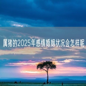 属猪的2025年感情婚姻状况会怎样呢