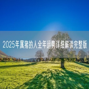 2025年属猪的人全年运势详细解读完整版