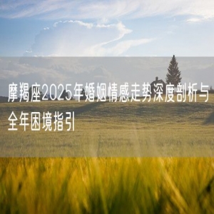 摩羯座2025年婚姻情感走势深度剖析与全年困境指引