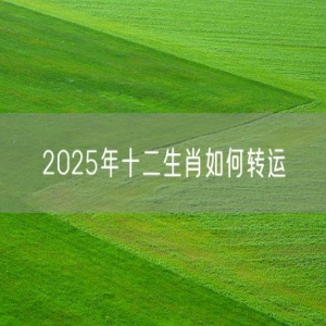 2025年十二生肖如何转运